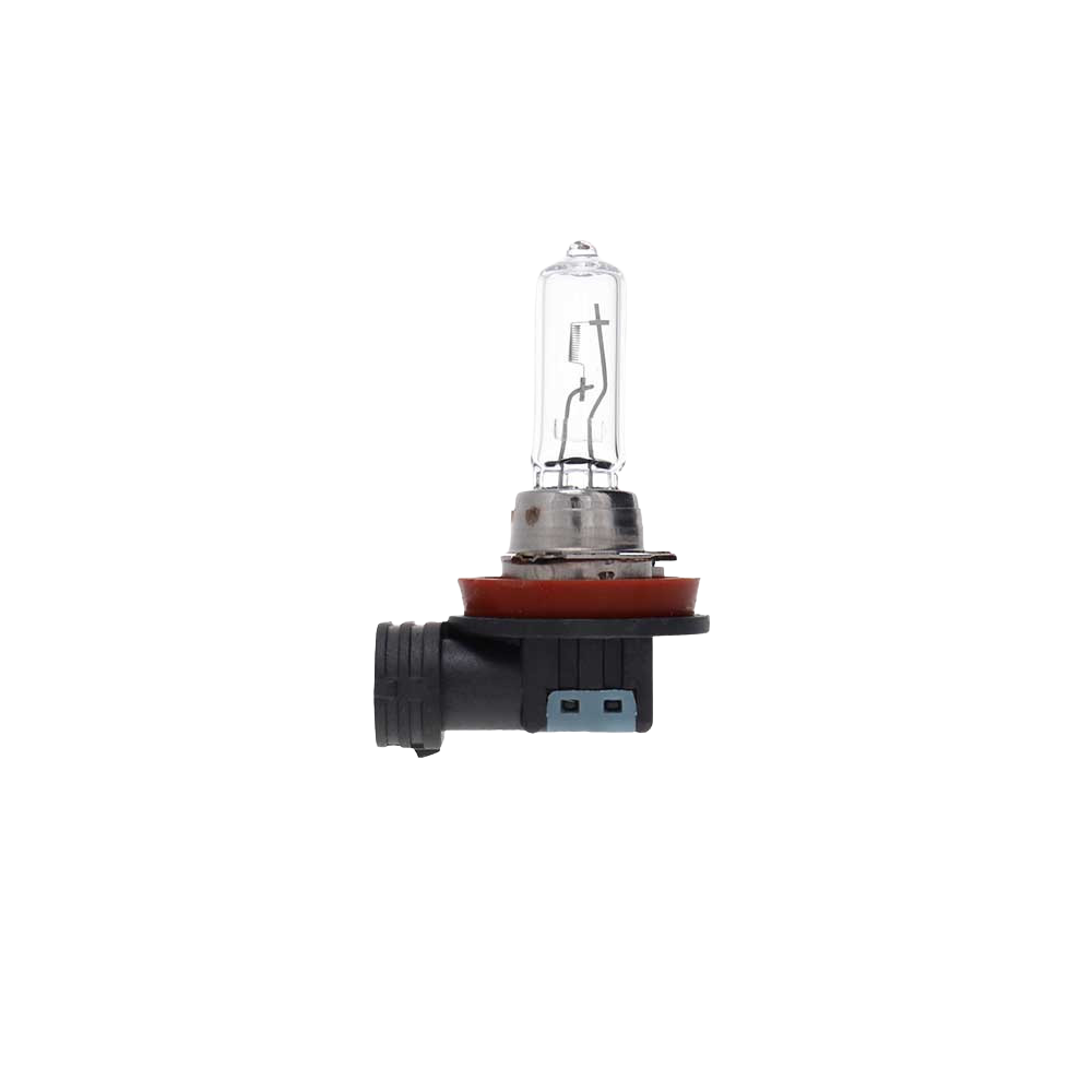 Ampoule H9 12V-65W culot PGJ19-5 x 10ex