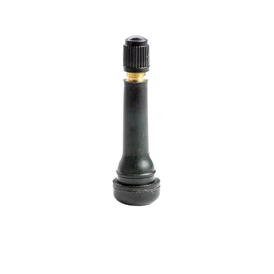 100 valves TR414L tubeless – V2.03.8