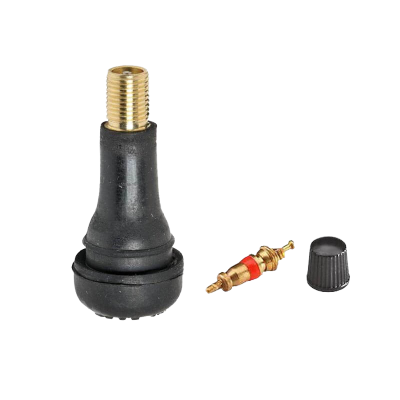 Valve TR413 + bouchon et obus