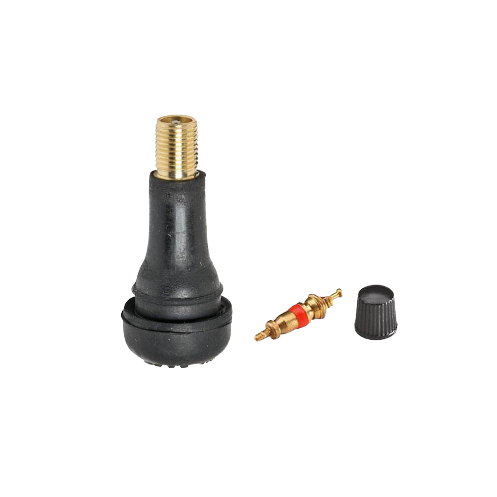 Valve TR413 + bouchon et obus