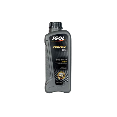 Huile Process 2290 Igol 2L
