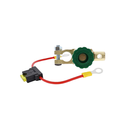 Cosse antivol de batterie 12 volts