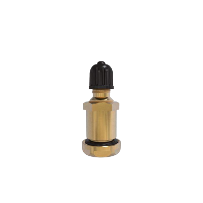 Valve tubeless en laiton - M1914