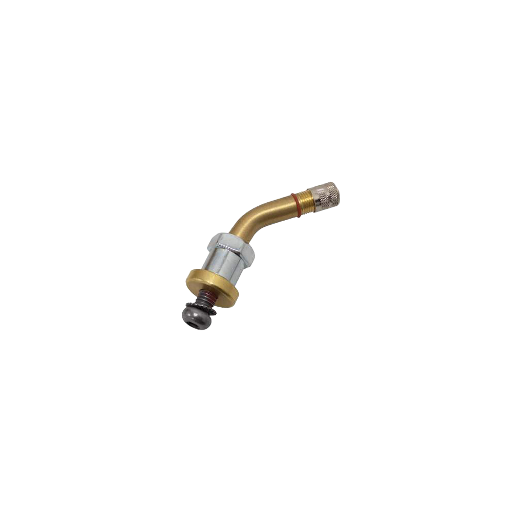 Valve TPMS poids lourd