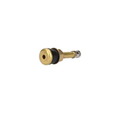 Valve TR 500 – LKW 54 MS – Réf. V3.21.3 vue de derrière