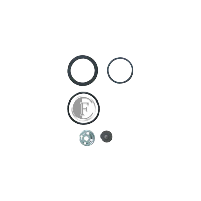Kit joint FKM pour Resist et Pro-Matic