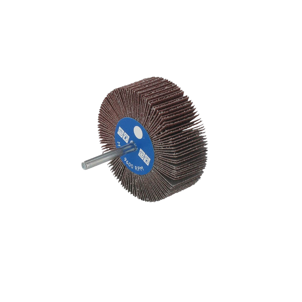 Disque à lamelles abrasives 80mm - EShopGarage.com